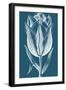 Chromatic Tulips I-Vision Studio-Framed Art Print