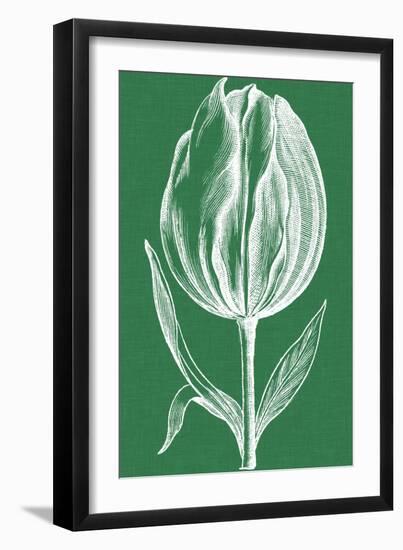 Chromatic Tulips II-Vision Studio-Framed Art Print