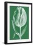 Chromatic Tulips II-Vision Studio-Framed Art Print