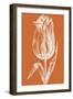 Chromatic Tulips III-Vision Studio-Framed Art Print