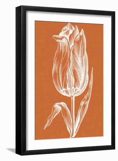 Chromatic Tulips III-Vision Studio-Framed Art Print