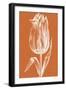 Chromatic Tulips III-Vision Studio-Framed Art Print