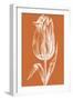 Chromatic Tulips III-Vision Studio-Framed Art Print