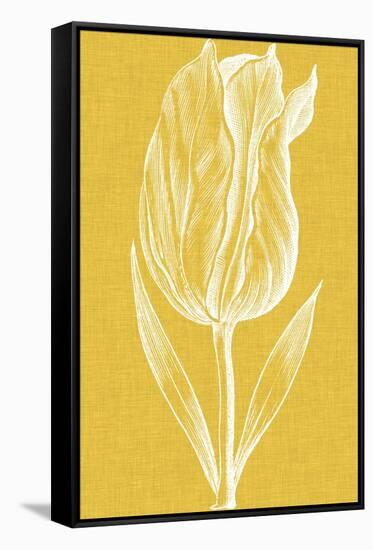 Chromatic Tulips IV-Vision Studio-Framed Stretched Canvas