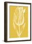 Chromatic Tulips IV-Vision Studio-Framed Art Print