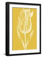 Chromatic Tulips IV-Vision Studio-Framed Art Print