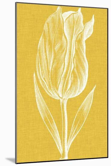 Chromatic Tulips IV-Vision Studio-Mounted Art Print