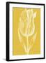 Chromatic Tulips IV-Vision Studio-Framed Art Print
