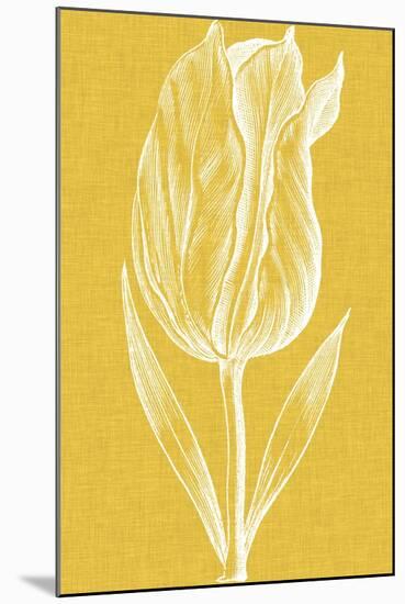 Chromatic Tulips IV-Vision Studio-Mounted Art Print