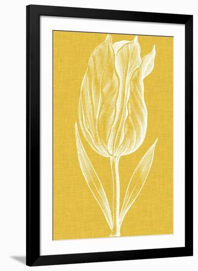 Chromatic Tulips IV-Vision Studio-Framed Art Print