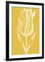 Chromatic Tulips IV-Vision Studio-Framed Art Print