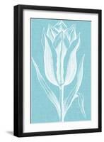 Chromatic Tulips IX-Vision Studio-Framed Art Print