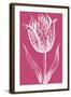 Chromatic Tulips V-Vision Studio-Framed Art Print