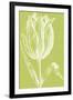 Chromatic Tulips VI-Vision Studio-Framed Art Print