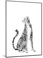 Chrome Cheetah II-Grace Popp-Mounted Art Print
