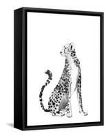 Chrome Cheetah II-Grace Popp-Framed Stretched Canvas
