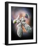 Chromosome, Artwork-Ramon Andrade-Framed Photographic Print