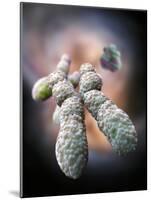 Chromosome, Artwork-Ramon Andrade-Mounted Photographic Print