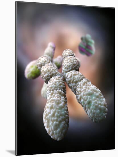 Chromosome, Artwork-Ramon Andrade-Mounted Photographic Print