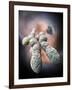 Chromosome, Artwork-Ramon Andrade-Framed Photographic Print