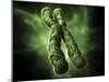 Chromosome, Artwork-Equinox Graphics-Mounted Photographic Print