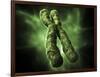 Chromosome, Artwork-Equinox Graphics-Framed Photographic Print