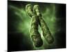 Chromosome, Artwork-Equinox Graphics-Mounted Photographic Print