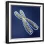 Chromosome with DNA-PASIEKA-Framed Premium Photographic Print