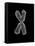 Chromosome-Tim Vernon-Framed Stretched Canvas