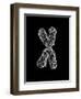 Chromosome-Tim Vernon-Framed Photographic Print