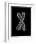 Chromosome-Tim Vernon-Framed Photographic Print