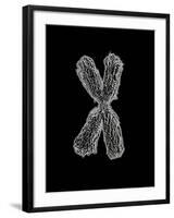 Chromosome-Tim Vernon-Framed Photographic Print