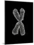 Chromosome-Tim Vernon-Mounted Photographic Print