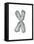 Chromosome-Tim Vernon-Framed Stretched Canvas