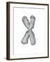 Chromosome-Tim Vernon-Framed Photographic Print