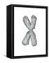 Chromosome-Tim Vernon-Framed Stretched Canvas