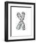 Chromosome-Tim Vernon-Framed Photographic Print