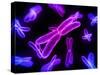 Chromosomes, Artwork-SCIEPRO-Stretched Canvas