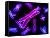 Chromosomes, Artwork-SCIEPRO-Framed Stretched Canvas