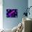 Chromosomes, Artwork-SCIEPRO-Stretched Canvas displayed on a wall