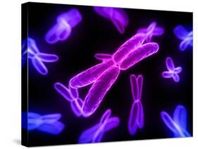 Chromosomes, Artwork-SCIEPRO-Stretched Canvas