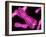 Chromosomes, Artwork-SCIEPRO-Framed Photographic Print