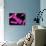 Chromosomes, Artwork-SCIEPRO-Photographic Print displayed on a wall