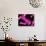 Chromosomes, Artwork-SCIEPRO-Photographic Print displayed on a wall