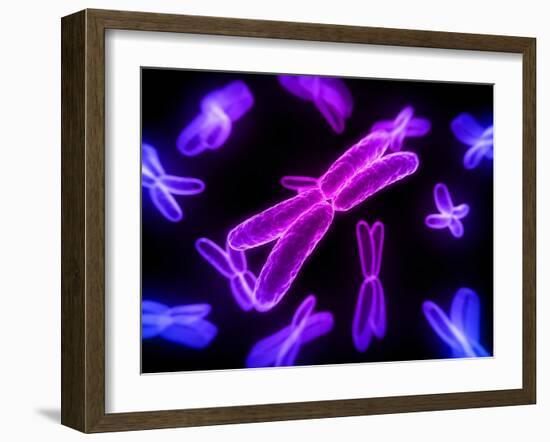 Chromosomes, Artwork-SCIEPRO-Framed Photographic Print