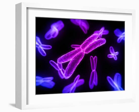 Chromosomes, Artwork-SCIEPRO-Framed Photographic Print