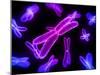 Chromosomes, Artwork-SCIEPRO-Mounted Photographic Print