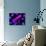 Chromosomes, Artwork-SCIEPRO-Photographic Print displayed on a wall