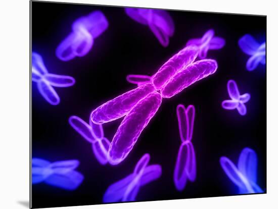 Chromosomes, Artwork-SCIEPRO-Mounted Photographic Print