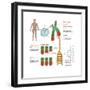 Chromosomes & Telomerase, Illustration-Gwen Shockey-Framed Art Print